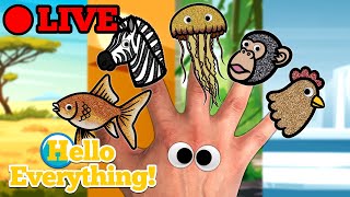 🔴 Hello Everything 👀 Live Stream  Finger Family Nursery Rhymes amp Animation [upl. by Idzik]