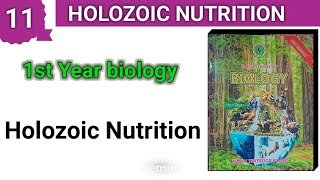 Holozoic Nutrition  chapter 11  1st year bio new book [upl. by Wolfram515]