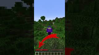 PROBE JUGAR minecraft CON x100 de velocidad [upl. by Yniatirb]