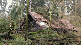 Schwere Schäden nach Sturm Friederike im Wald im Kreis Northeim [upl. by Grote]