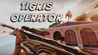 Valorant Tigris Operator Gameplay AIMBOT [upl. by Iva]