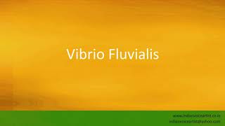 Pronunciation of the words quotVibrio Fluvialisquot [upl. by Alliber]