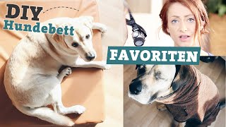 FAVORITEN Hundezubehör  DIY Hundebett selber machen  Bademantel für Hunde [upl. by Lewap]