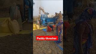 dhan wala thresher  dhan katne wala thresher  paddy thresher  paddythresher paddy dhan shorts [upl. by Roumell]