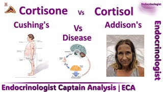 اكثر من ٣٠٠ معلومة وحقائق عن الكورتيزون Cortisol amp Cortisone  Hypercortisolism amp hypercortisolosm [upl. by Ardnaxela]