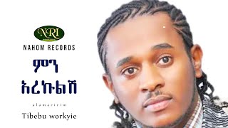 Tibebu Workye  Min Arekulish  ጥበቡ ወርቅዬ  ምን አረኩልሽ  Ethiopian Music [upl. by Zendah]