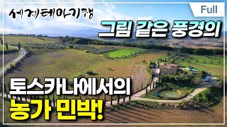 Full 세계테마기행  완전 정복 이탈리아 영화 같은 풍경 토스카나 [upl. by Dorie]