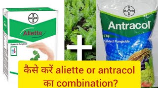 Aliette। Antracoal। Bayer। fungicide [upl. by Nessa]