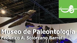 Visitando el MUSEO DE PALEONTOLOGIA Federico A Solórzeno Barreto Guadalajara Jal México [upl. by Pillsbury481]