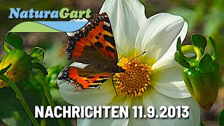 Nachrichten 11092013 Schlamm im Gartenteich entfernen Teichtreff Uferbefestigung [upl. by Onez682]