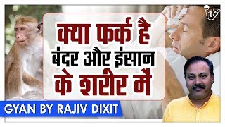 Rajiv Dixit  क्या फर्क है बंदर और इंसान में   Differences Between Monkey And Humans [upl. by Huntlee]