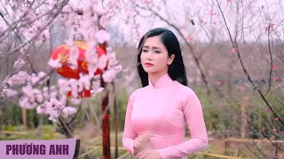 Gác Nhỏ Đêm Xuân  Phương Anh Official MV [upl. by Kalman86]