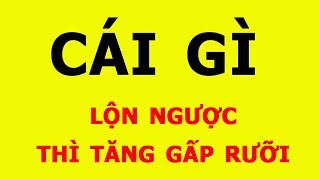 Các câu đố mẹo ngắn khiến bạn căng não  Phần 3 [upl. by Caffrey]