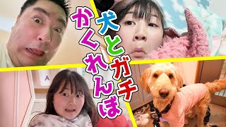 家で犬と「かくれんぼ」やったら～まさかの結果に！  はねまりチャンネル [upl. by Roderigo]