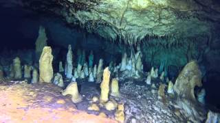 Cave diving Mexico  cenote Car Wash  Aktun Ha  downstream [upl. by Olwen163]