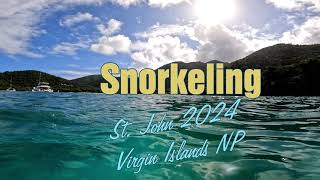 US Virgin Islands Snorkeling [upl. by Eirruc]