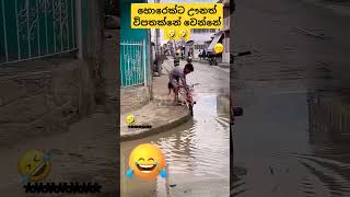 හොරෙක් ට වුනත් විපතක්නේ වුනේ 🤣🤣viralvideo youtubeshorts comedy shorts [upl. by Crowns]