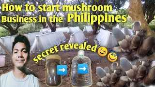 HOW TO START MUSHROOM BUSINESS IN THE PHILIPPINES kabuteng saging  volvariella mushroom [upl. by Eiramnerual]