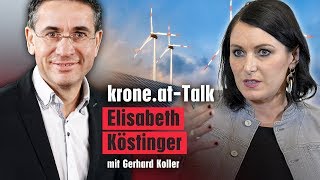 Ökostromnovelle quotVerunsicherung streuen ist kontraproduktivquot  kroneat NewsTalk [upl. by Kermit]