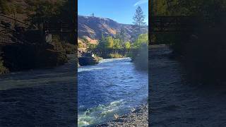 usa washington shorts vlog nature [upl. by Alleram]