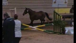 ♥ Tourbillon dEole jumping horse by Jeff dOr [upl. by Ailaht258]