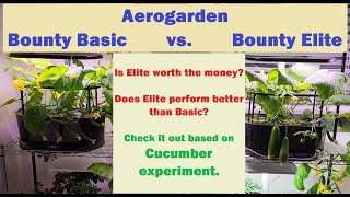 Aerogarden Bounty Elite vs Bounty Basic Which is better Performace based on cucumber experiments [upl. by Ithnan]