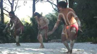 Australian Aboriginal Crane Dance [upl. by Carter]