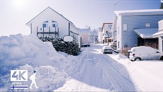 3 Hours of Beautiful Snow Walks in Finland  Slow TV 4K [upl. by Tanaka406]