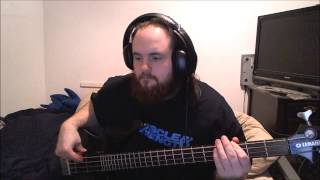 Dishwalla  Counting Blue Cars bass cover [upl. by Kolb529]