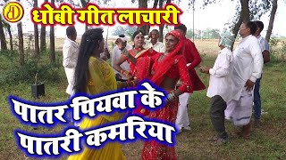 पातर पियवा के पातर कमरिया  न्यू धासु धोबिया गाना  Dhobi hua gana video songs [upl. by Leeban]