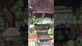 Kabankalan City Charter Day beautiful exhibit of local farm products [upl. by Codee]