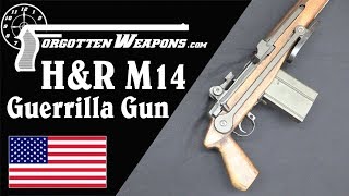 HampRs Experimental M14 Guerrilla Gun [upl. by Nylde]