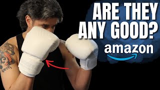 Cheapest Muay Thai Gloves on Amazon  Sanabul Muay Thai and Kickboxing Gloves Review [upl. by Nylkoorb976]