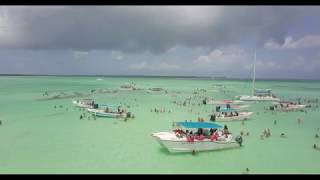 occidental punta cana resort [upl. by Ellinger]