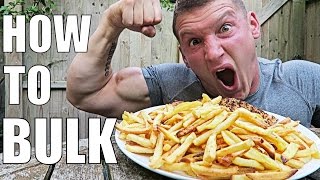 HOW TO BULK Bulking Update amp Advice [upl. by Beaston351]