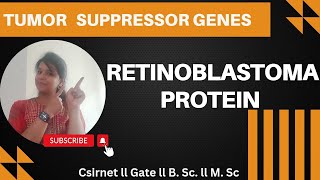 Retinoblastoma Protein II pRb II Tumor Suppressor Protein csirnet gatelifesciences [upl. by Arakal]