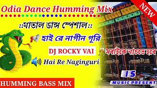 Hai Re Naginguri DJDj Rocky vai 🔊Bin Bala reNew 2024 djrxremix  Humming bass mix [upl. by Notliw]