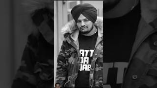 Legend 😍 sidhu mooswala punjabi song sidhumoosewala shorts punjadisong song legend [upl. by Navis562]