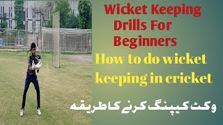 wicket keeping drills for beginners  Drills for a wicket keeper  cricket with asif [upl. by Vanzant456]