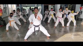 Live karate class  SS karate amp gymnastics [upl. by Astraea]