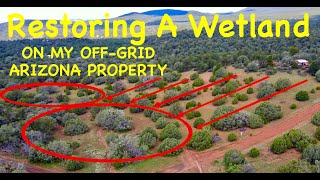 Restoring A Wetland On My AZ Property  RESULTS ON DAY 1 Permaculture In The High Desert [upl. by Adnaluy]