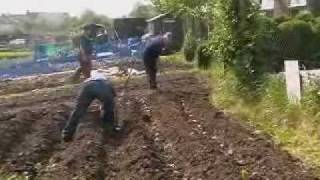 Allotment  London Irish Centre [upl. by Lasser]