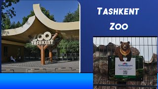 A complete tour to Tashkent zoo Jurassic world and aquarium tashkent zoo aquarium dinosaur [upl. by Dillon]