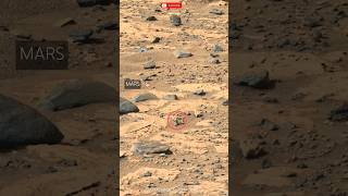 Mars view Perseverance sciencedawn [upl. by Nivlen190]