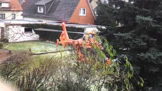 Hubschrauber startet mitten in Nachbars Garten [upl. by Poppo661]