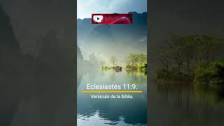 Eclesiastés 119 Versículo De La Biblia [upl. by Dnalram17]