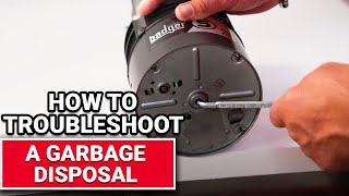 How To Troubleshoot A Garbage Disposal  Ace Hardware [upl. by Buller471]