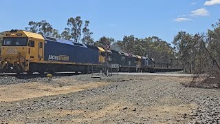 7936V7734V PN loaded grain 3 locos Speed to Geelong 1205 11124 North Ararat VIC [upl. by Noryd]