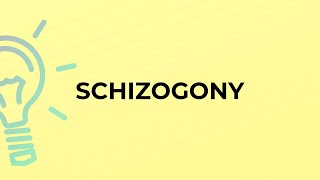 What is the meaning of the word SCHIZOGONY [upl. by Dlaniger]