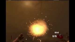 Black Ops 2 Zombies  How to Kill Denizens Fast with Regular Knife in Tranzit [upl. by Ripley]